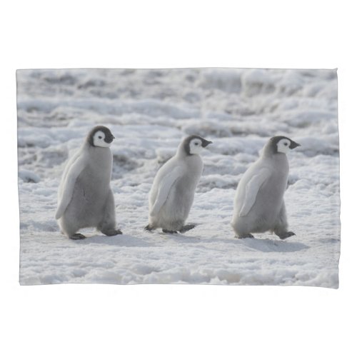 Cutest Baby Animals  Three Emperor Penguin Chicks Pillow Case