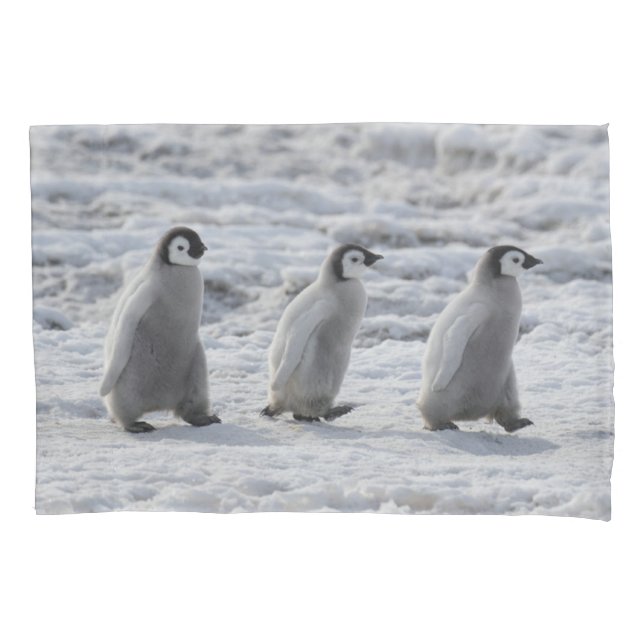Cutest Baby Animals | Three Emperor Penguin Chicks Pillow Case (Front)