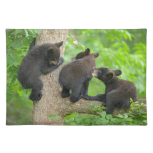 Cutest Baby Animals Three Young Black Bear Cubs Cloth Placemat