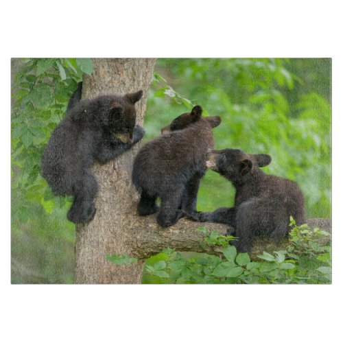 Cutest Baby Animals  Three Young Black Bear Cubs Cutting Board