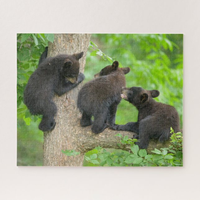 Cutest Baby Animals | Three Young Black Bear Cubs Jigsaw Puzzle (Horizontal)