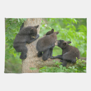 Cutest Baby Animals Three Young Black Bear Cubs Kitchen Towel