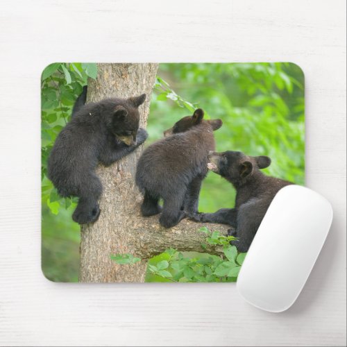 Cutest Baby Animals  Three Young Black Bear Cubs Mouse Pad