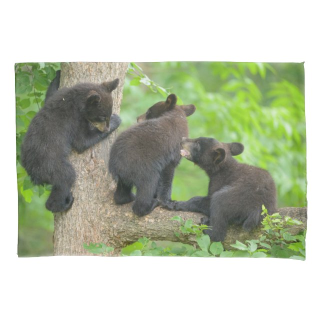 Cutest Baby Animals | Three Young Black Bear Cubs Pillow Case (Front)