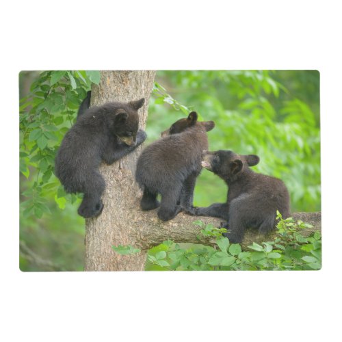 Cutest Baby Animals  Three Young Black Bear Cubs Placemat