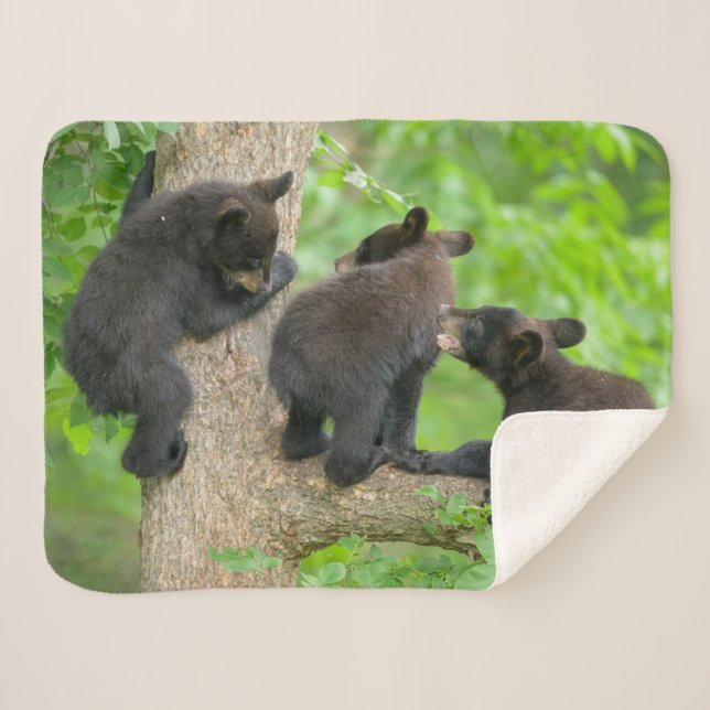 Cutest Baby Animals | Three Young Black Bear Cubs Sherpa Blanket (Front (Horizontal))