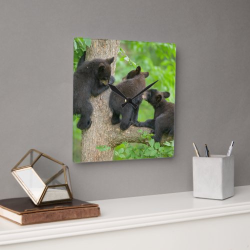 Cutest Baby Animals  Three Young Black Bear Cubs Square Wall Clock