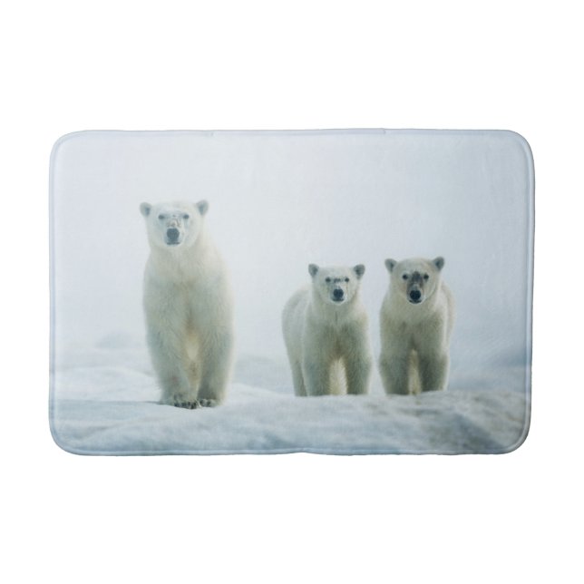 Cutest Baby Animals | Three Young Polar Bears Bath Mat (Front)