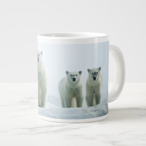 Cutest Baby Animals  Three Young Polar Bears Giant Coffee Mug