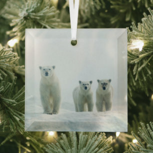 Cutest Baby Animals Three Young Polar Bears Glass Ornament