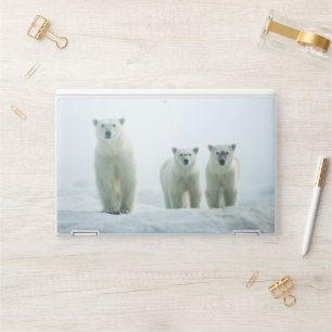 Cutest Baby Animals Three Young Polar Bears HP Laptop Skin