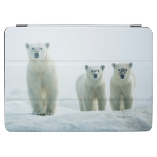 Cutest Baby Animals   Three Young Polar Bears iPad Air Cover