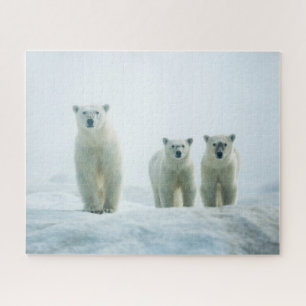 Cutest Baby Animals Three Young Polar Bears Jigsaw Puzzle