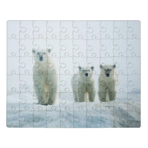 Cutest Baby Animals Three Young Polar Bears Jigsaw Puzzle