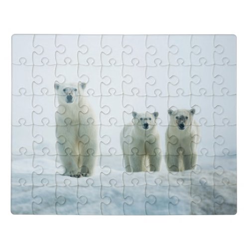 Cutest Baby Animals  Three Young Polar Bears Jigsaw Puzzle
