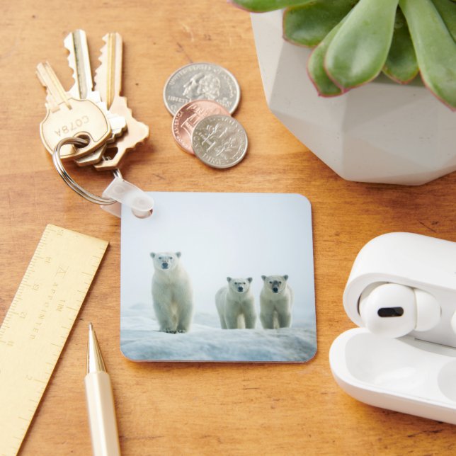 Cutest Baby Animals | Three Young Polar Bears Keychain (Desk)