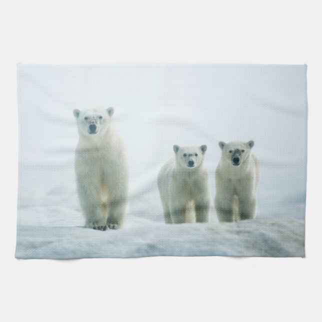 Cutest Baby Animals | Three Young Polar Bears Kitchen Towel (Horizontal)