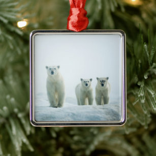 Mama Bear Three Cubs Silver Snowflake Christmas Ornament Home