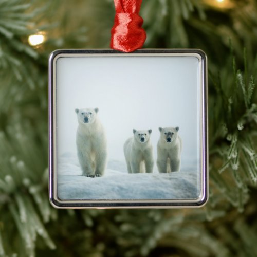 Cutest Baby Animals  Three Young Polar Bears Metal Ornament