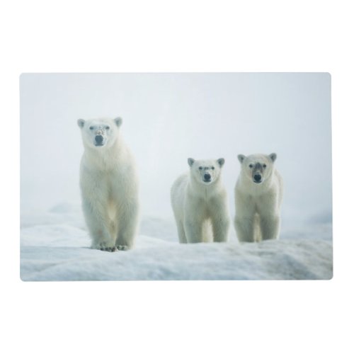 Cutest Baby Animals  Three Young Polar Bears Placemat