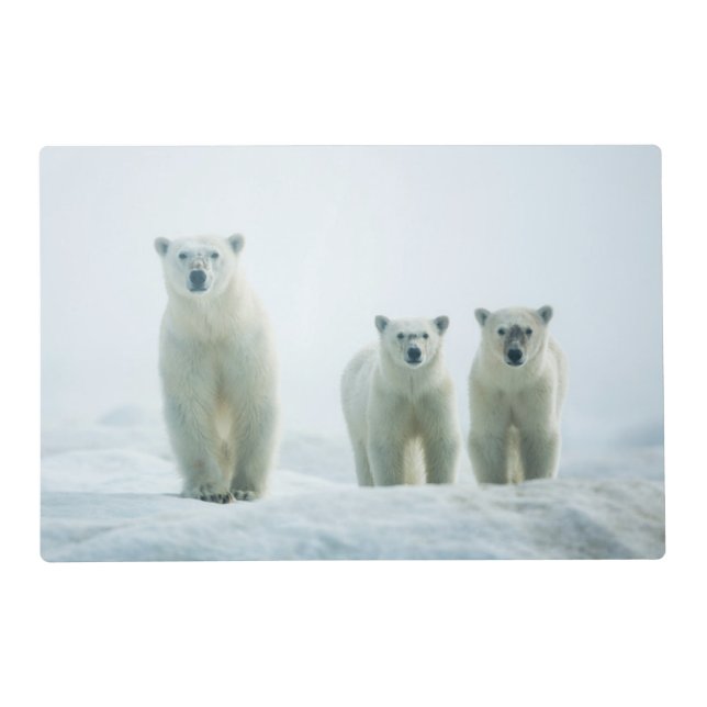 Cutest Baby Animals | Three Young Polar Bears Placemat (Front)