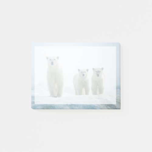 Cutest Baby Animals  Three Young Polar Bears Post_it Notes
