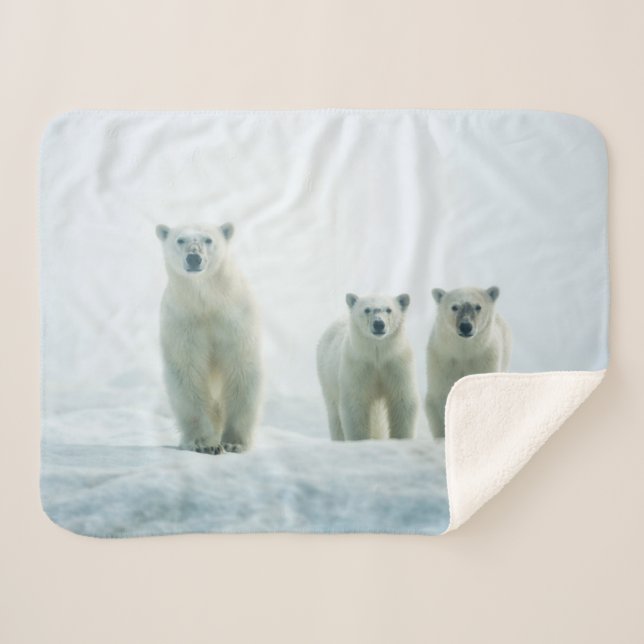 Cutest Baby Animals | Three Young Polar Bears Sherpa Blanket (Front (Horizontal))