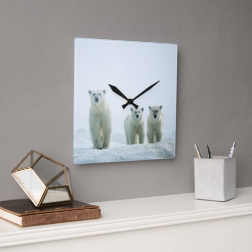 Cutest Baby Animals  Three Young Polar Bears Square Wall Clock