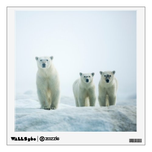 Cutest Baby Animals  Three Young Polar Bears Wall Decal