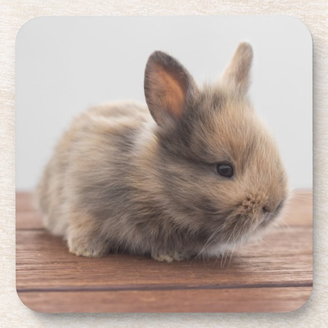 Cutest Baby Animals | Tiny Baby Bunny Beverage Coaster (Front)