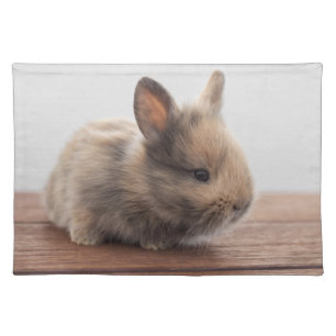 Cutest Baby Animals Tiny Baby Bunny Cloth Placemat