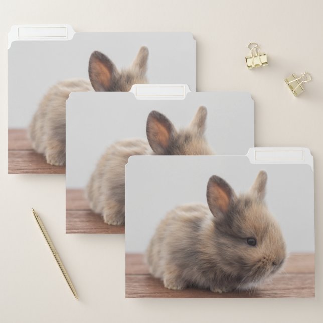 Cutest Baby Animals | Tiny Baby Bunny File Folder (Set)