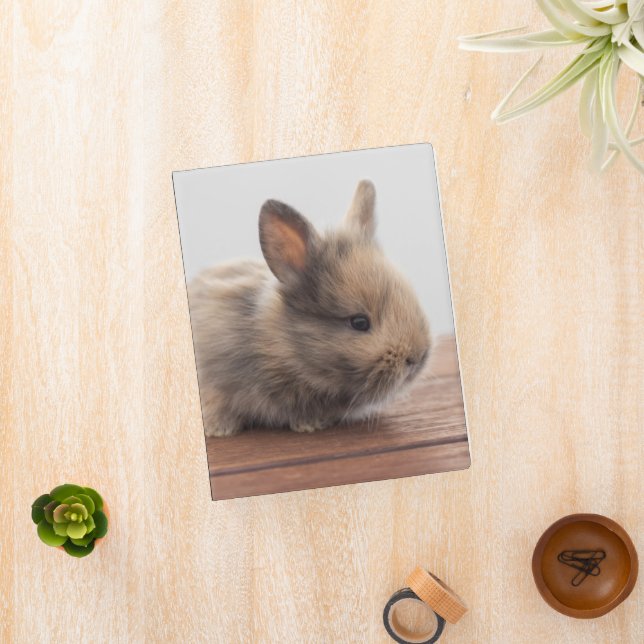 Cutest Baby Animals | Tiny Baby Bunny Mini Binder (InSitu)