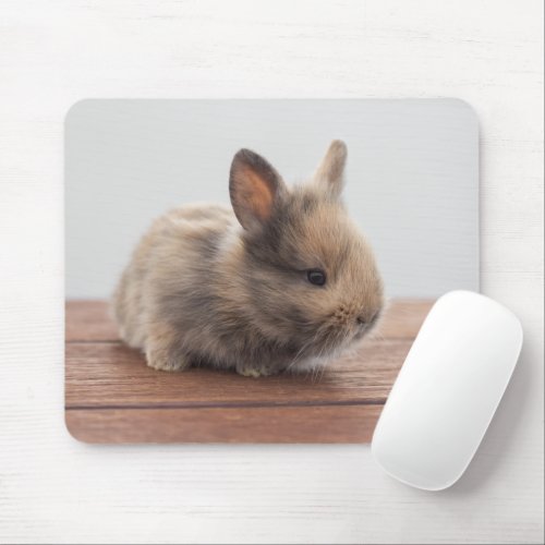 Cutest Baby Animals  Tiny Baby Bunny Mouse Pad