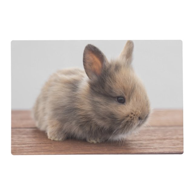 Cutest Baby Animals | Tiny Baby Bunny Placemat (Front)