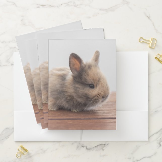 Cutest Baby Animals | Tiny Baby Bunny Pocket Folder (In Situ)