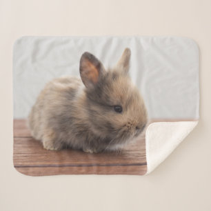 Cutest Baby Animals Tiny Baby Bunny Sherpa Blanket