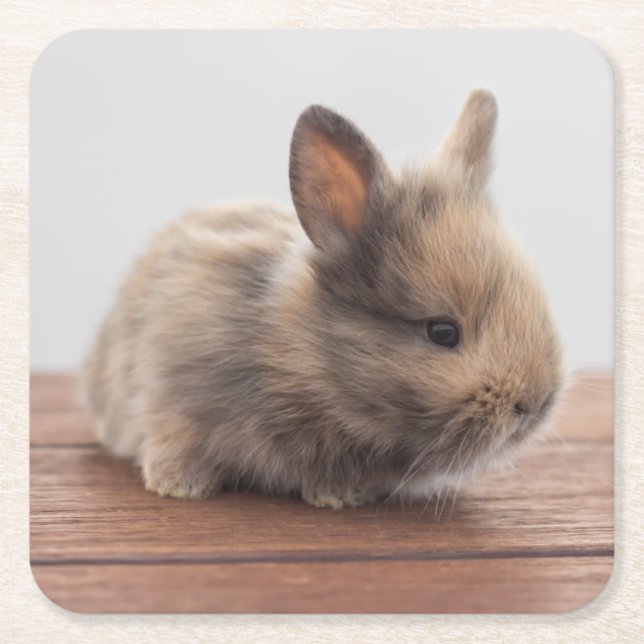 Cutest Baby Animals | Tiny Baby Bunny Square Paper Coaster (Front)