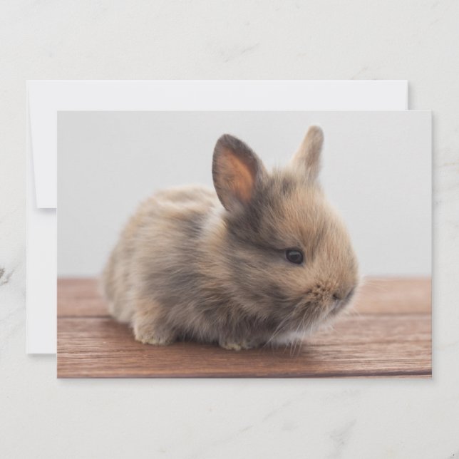 Cutest Baby Animals | Tiny Baby Bunny Thank You Card (Front)