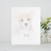 Cutest Baby Animals | Tiny Corgi (Standing Front)