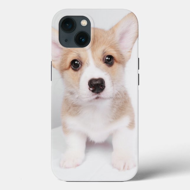 Cutest Baby Animals | Tiny Corgi Case-Mate iPhone Case (Back)
