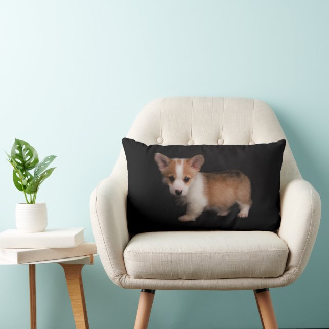 Cutest Baby Animals | Tiny Corgi Lumbar Pillow (Chair)