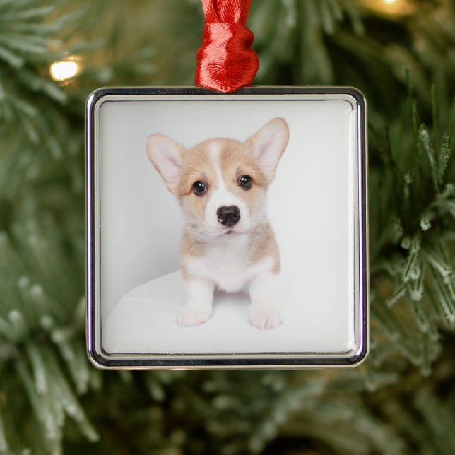 Cutest Baby Animals | Tiny Corgi Metal Ornament (Tree)