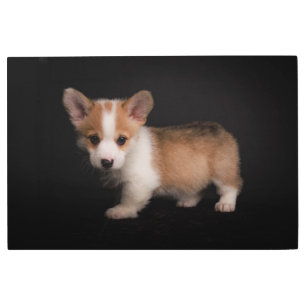Cutest Baby Animals   Tiny Corgi Metal Print