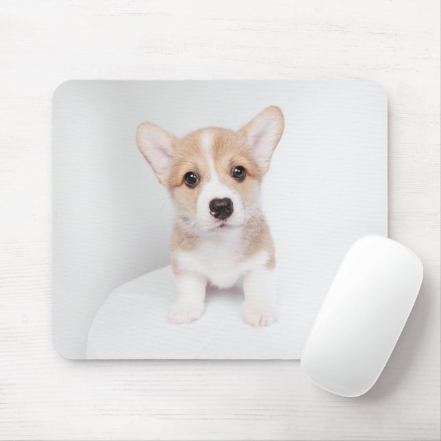 Cutest Baby Animals | Tiny Corgi Mouse Pad (With Mouse)
