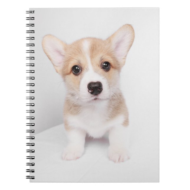 Cutest Baby Animals | Tiny Corgi Notebook (Front)