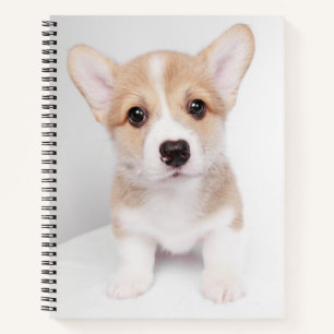 Cutest Baby Animals Tiny Corgi Notebook