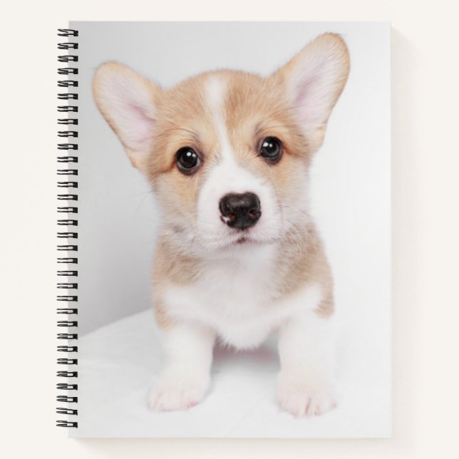 Cutest Baby Animals | Tiny Corgi Notebook (Front)