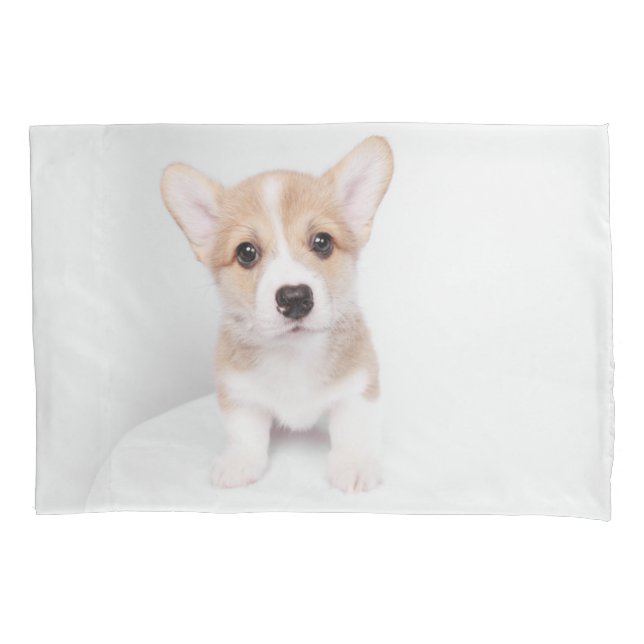 Cutest Baby Animals | Tiny Corgi Pillow Case (Front)