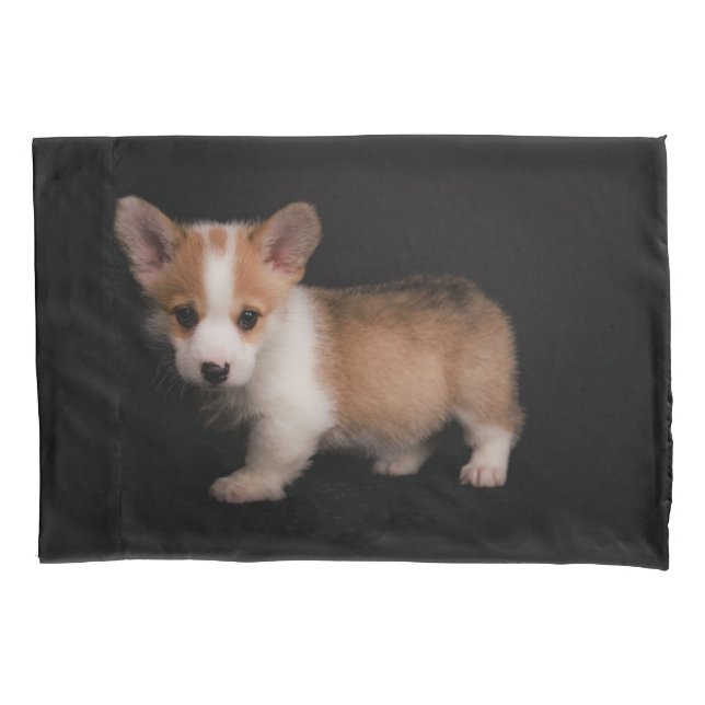 Cutest Baby Animals | Tiny Corgi Pillow Case (Front)